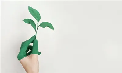 Er grønn te bra for nevropati?