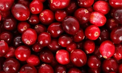 Hvor mye tranebærpulver bør jeg ta om dagen?