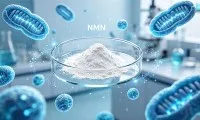 Hva er best for anti-aldring, NAD eller NMN?