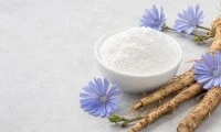 Hvordan velge sikori-inulin for tarmhelsetilskudd?